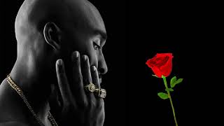 💫Emotional 2Pac Sad Rap Mix 2021💫 Best 2Pac Sad Music Mix 2021 ft Eminem Biggie  Rip Tupac Shakur [upl. by Nythsa]