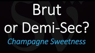 Whats the Difference between Brut and DemiSec Champagne Sparkling Wine Cava Prosecco [upl. by Hebert]