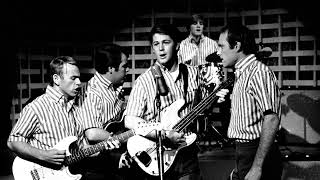 The Beach Boys  Dont Worry Baby Isolated Vocals [upl. by Pears289]