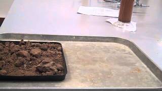 Simple wind erosion demonstration Part 1 [upl. by Nautna]