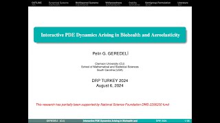 Pelin Güven Geredeli  Interactive PDE Dynamics Arising in Biohealth and Aeroelasticity [upl. by Compton]