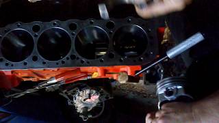 Piston ring Installation SBC 350 [upl. by Nhguavaj391]