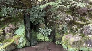 銀閣寺 Ginkakuji Temple [upl. by Sabu]