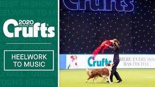 Heelwork To Music Competition  Part 3  Crufts 2020 [upl. by Joette]