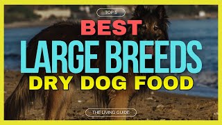 🔥 Best Dry Dog Food for Large Breeds in 2024 ☑️ TOP 5 ☑️ [upl. by Prudence]