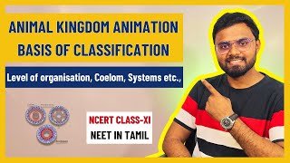 Animal Kingdom Animation in Tamil  NEET2025  NCERT ClassXI Biology  Coelom  Germ layer [upl. by Nanek795]