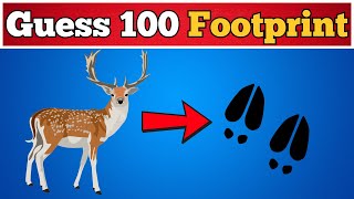 Guess the 100 Animal by Its Footprints  100 Animal Tracks Quiz Challenge  kids quiz [upl. by Releyks607]