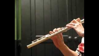 Muramatsu DN Used Flute  Demo of Low Register [upl. by Hgielsa]