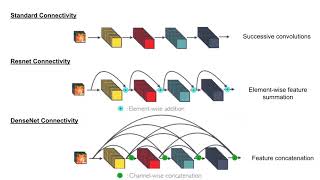 MLT CNN Architectures DenseNet  theory [upl. by Ahseikal]