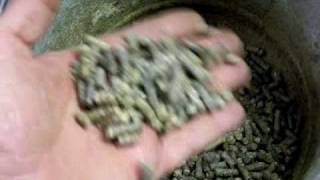 Make FREE wood pellets from recycled junk mail to run your pellet stove  Part 1 [upl. by Melleta]