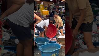 Biggest Seafood Market of Pangasinan Philippines Dagupan Fish Market [upl. by Gustavus]