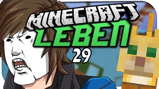 MINECRAFT LEBEN ☆ 29  DIE SPRECHENDE KATZE ☆ Minecraft Leben [upl. by Aidil]