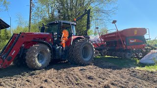 Massey Ferguson 7616 amp Tume Super Nova Combi 4000 rypsin kylvöä🚜🌾 [upl. by Xenos]