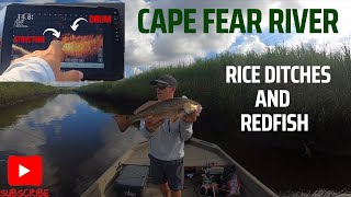 LIVESCOPE for REDFISH Downtown Wilmington NC Drum fishing DEEP and SHALLOW [upl. by Zach]