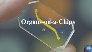 Organs  on  a  chips microfluidics organonachips [upl. by Buchanan496]