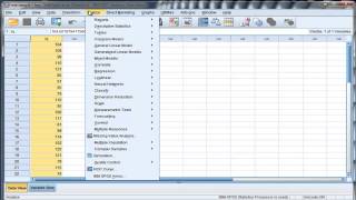 Onesample ttest  SPSS Part1 [upl. by Gasser]