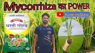 Mycorrhiza का POWER mycorrhiza का सही use [upl. by Enitnemelc491]