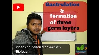 Gastrulation and formation of three Germ layers [upl. by Niletac]