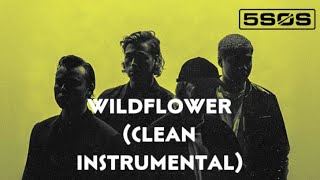 5 Seconds of Summer  Wildflower Clear Instrumental [upl. by Pilif408]