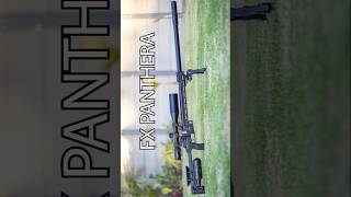 Unreal Airgun Accuracy  LongRange Headshot  Best Airguns in the world  FX Panthera  FX Airguns [upl. by Edelson]