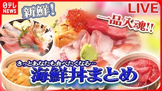 【海鮮丼まとめ】ワケあってデカ盛りの店 仕入れに秘密  赤字覚悟！絶品海鮮丼  一品入魂のウマい店など（日テレNEWS LIVE） [upl. by Finlay]