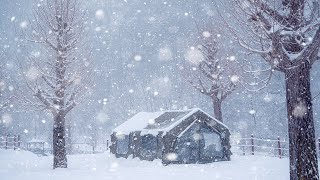 Camping in Heavy Snow  In a perfect air tent that feels like home cozy camping  snow asmr [upl. by Dnalyag]