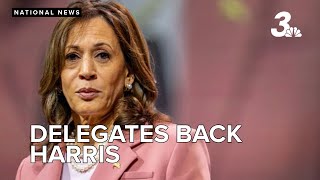 Nevada Democratic delegates unanimously back Harris as presidential nominee [upl. by Aelgna]