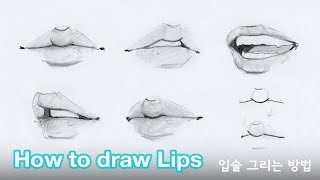 How to draw lips by Chommang Tutorial [upl. by Drofnelg]