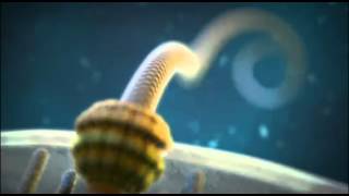 Flagellum van de bacterie [upl. by Amada]