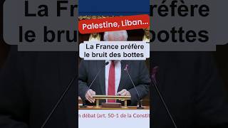 Palestine Liban  la France préfère le bruit des bottes Chassaigne lesdeputescommunistes5092 [upl. by Ewald978]