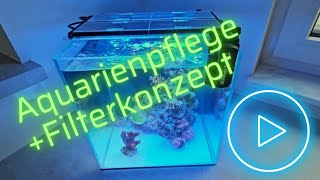 Aquarienpflege und Filterkonzept im UNS Nano Cube Aquarium 30x30x30 [upl. by Amilb707]