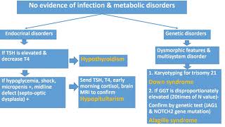 Neonatal Jaundice Part 33  Neonatal Cholestasis  Pediatrics [upl. by Esilahc493]