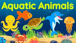 Aquatic animals  Sea animals  Aquatic animals for kids  Sea animals for kids  Water animals [upl. by Mohorva390]