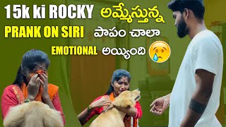 15k ki Rocky ni అమ్మేస్తున్నా😳😡 prank on Siri😂😂 papam ఘోరంగా ఏడ్చింది😭😭😭 [upl. by Yatnohs7]