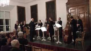 Champagner Galopp Johann Strauss Orchester Salzburg [upl. by Sirraj]