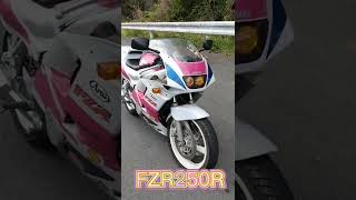 FZR250R [upl. by Iveson]