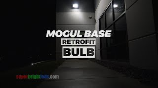 Mogul Base LED Retrofit Bulb [upl. by Marentic]