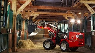 Weidemann – Hoftrac® 1240LP Einsatz auf einem Pferdehof [upl. by Ivonne150]