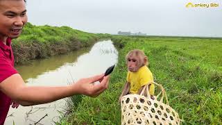 Super funny moments of monkey Bibi when first interacting with some new animals [upl. by Maiah]