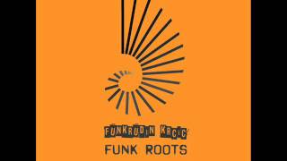 Funkrudin Krcic  Funk Roots [upl. by Saffier255]