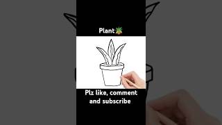 Plant DrawingHow to Draw a Plant step by step youtubeshorts shortplant [upl. by Elorac122]