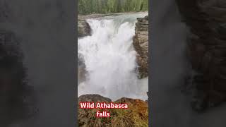 Wild Athabasca falls shortvideo nature youtube youtubeshorts youtuber canada ytshorts falls [upl. by Jorry]