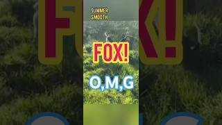 Absolutely unbelievable Animals Hunting Game [upl. by Yauq]