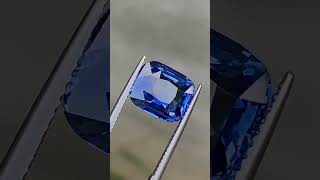 Natural Unheated Blue Sapphire  Ceylon Top Gems  ceylontopgems  Top Quality ceylongems ring [upl. by Fayth143]