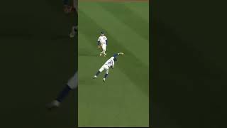 Incredible catch from Nico Hoerner 👀 mlb baseball chicago cubs defense webgem [upl. by Hoye651]