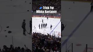 Rantanen Scores 🧢 Trick  🍎 MikkoRantanen ColoradoAvalanche NHLHighlights [upl. by Acirrej]