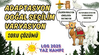 Adaptasyon Doğal Seçilim ve Varyasyon Soru Çözümü  2025 LGS Fen Bilimleri Yaz Kampı [upl. by Marlane]