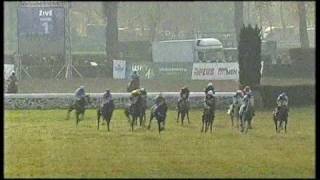 Velká pardubická steeplechase 2008 [upl. by Aketal193]