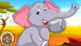 Meet The Elephant  Animal Songs For Kids  KLT WILD [upl. by Jovitah]