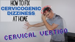 How to Get Rid of Cervicogenic Dizziness  Cervical Dizziness Exercises  Dr Jon Saunders [upl. by Glenna927]